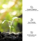 Substrato Cacto|Suculenta|Rosa do deserto Sólido Orgânico 25L Geolia